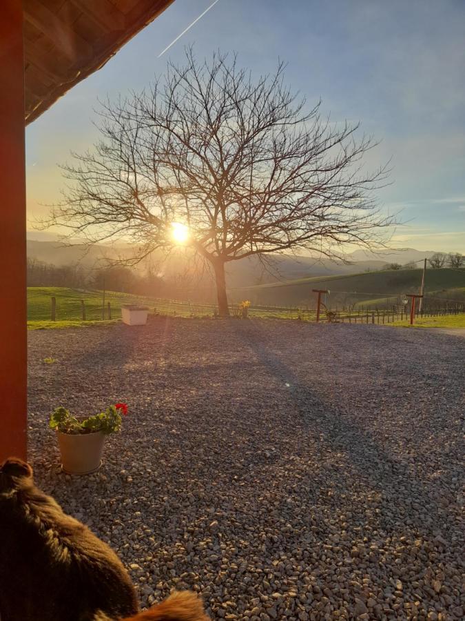 Gite A La Ferme Larranda Suhescun Eksteriør billede
